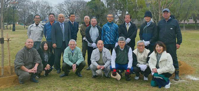 桜の植樹